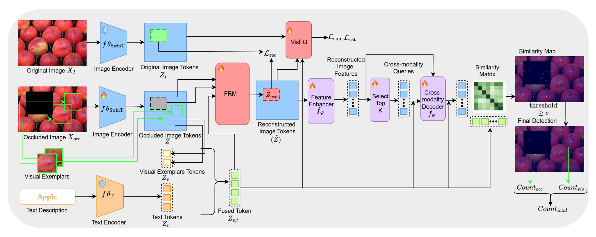 CountOCC architecture: original and occluded images through image encoders; FRM reconstructs occluded tokens; VisEQ compares attention; feature enhancer and cross-modality decoder produce visible and occluded counts.